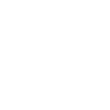 Play Button icon